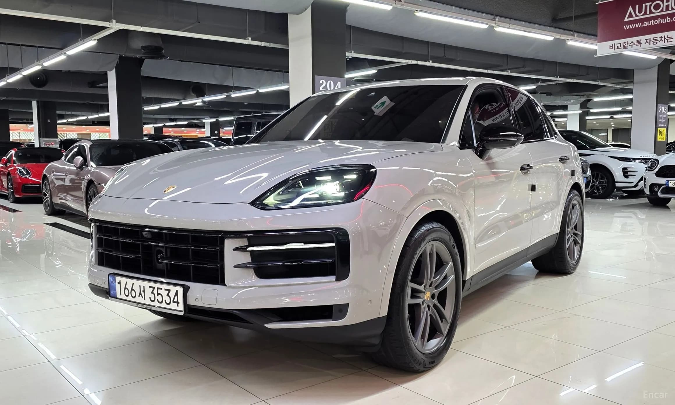 Cayenne (PO536)