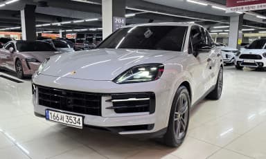 Cayenne (PO536)