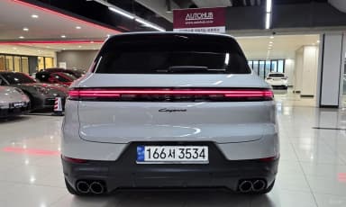 Cayenne (PO536)