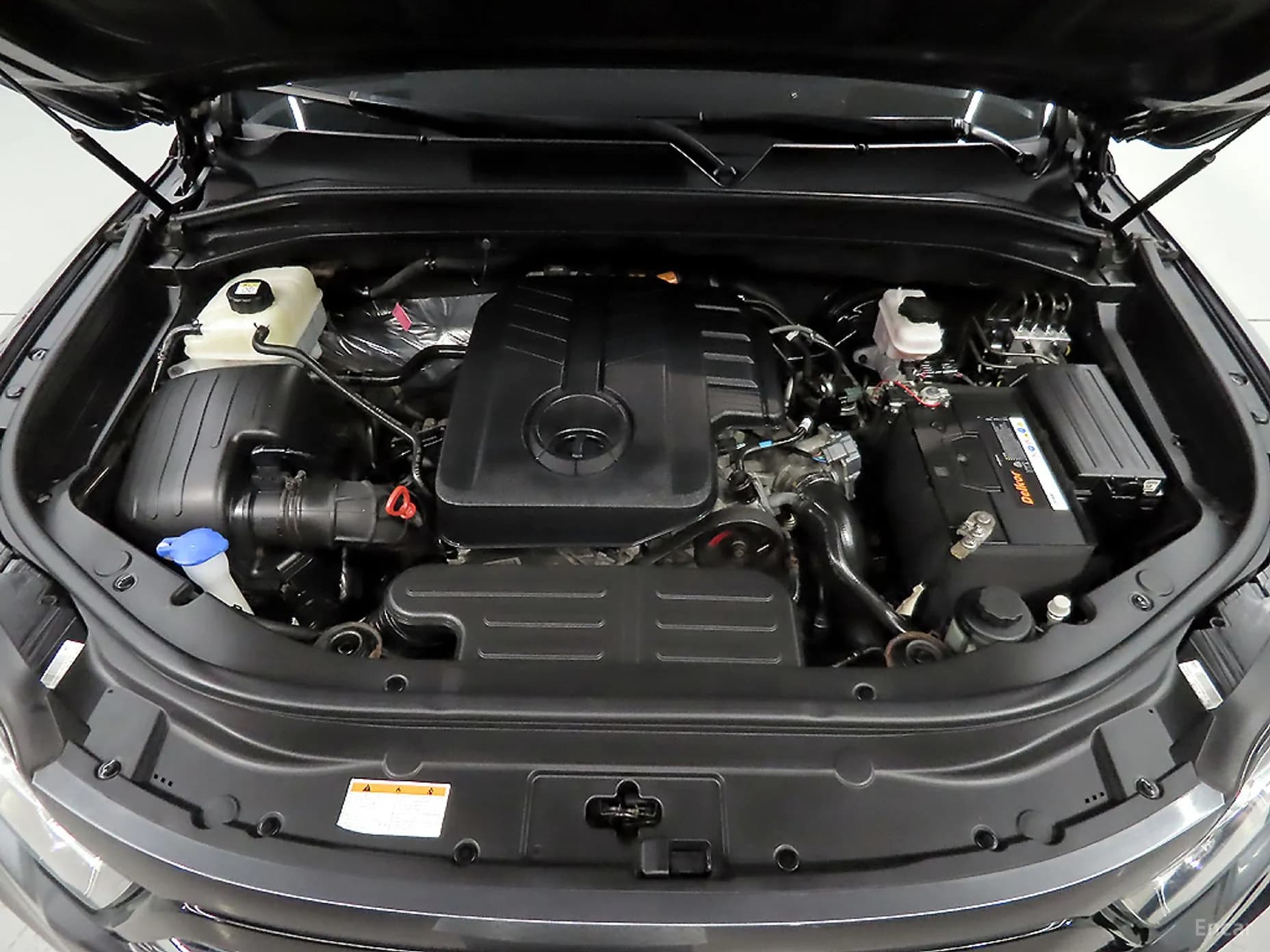 Rexton Sports