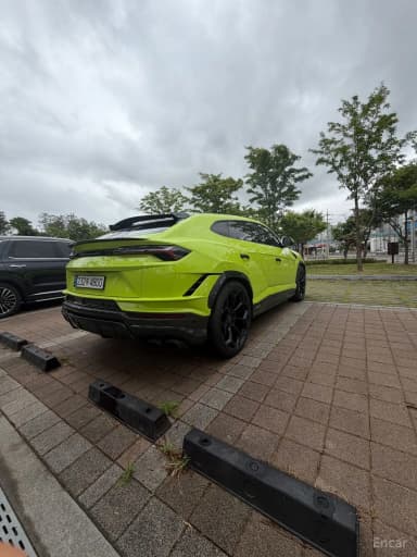 Urus