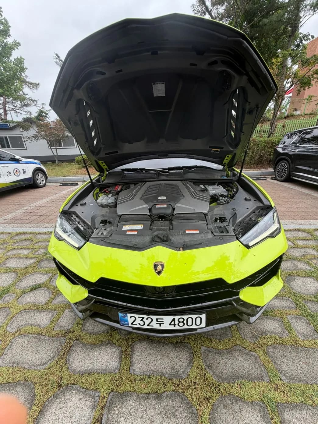 Urus