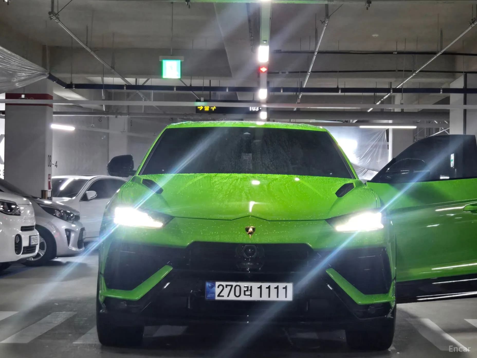 Urus