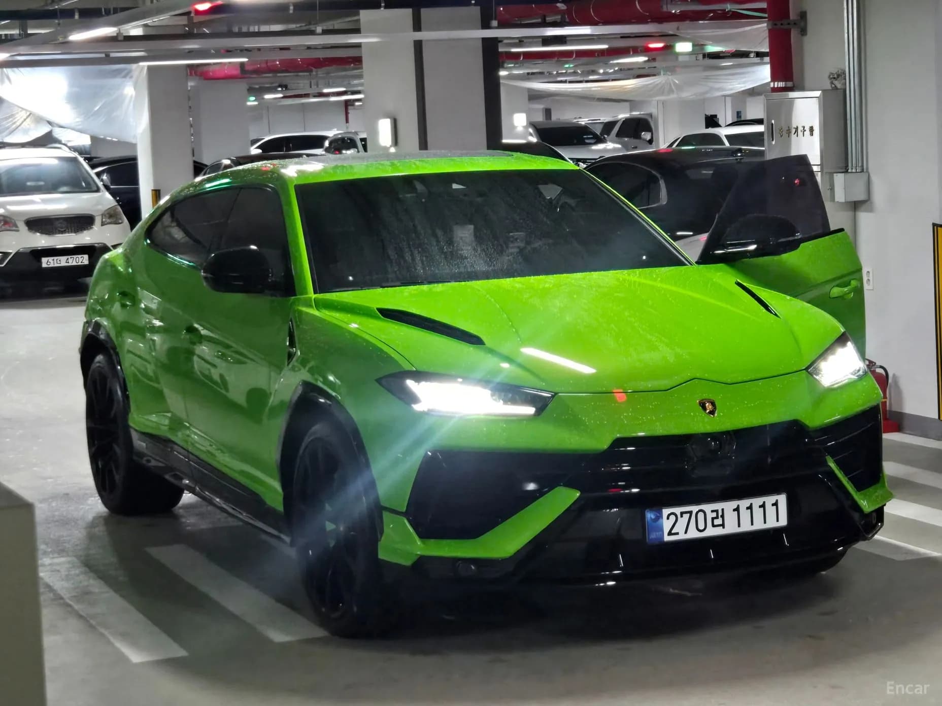 Urus