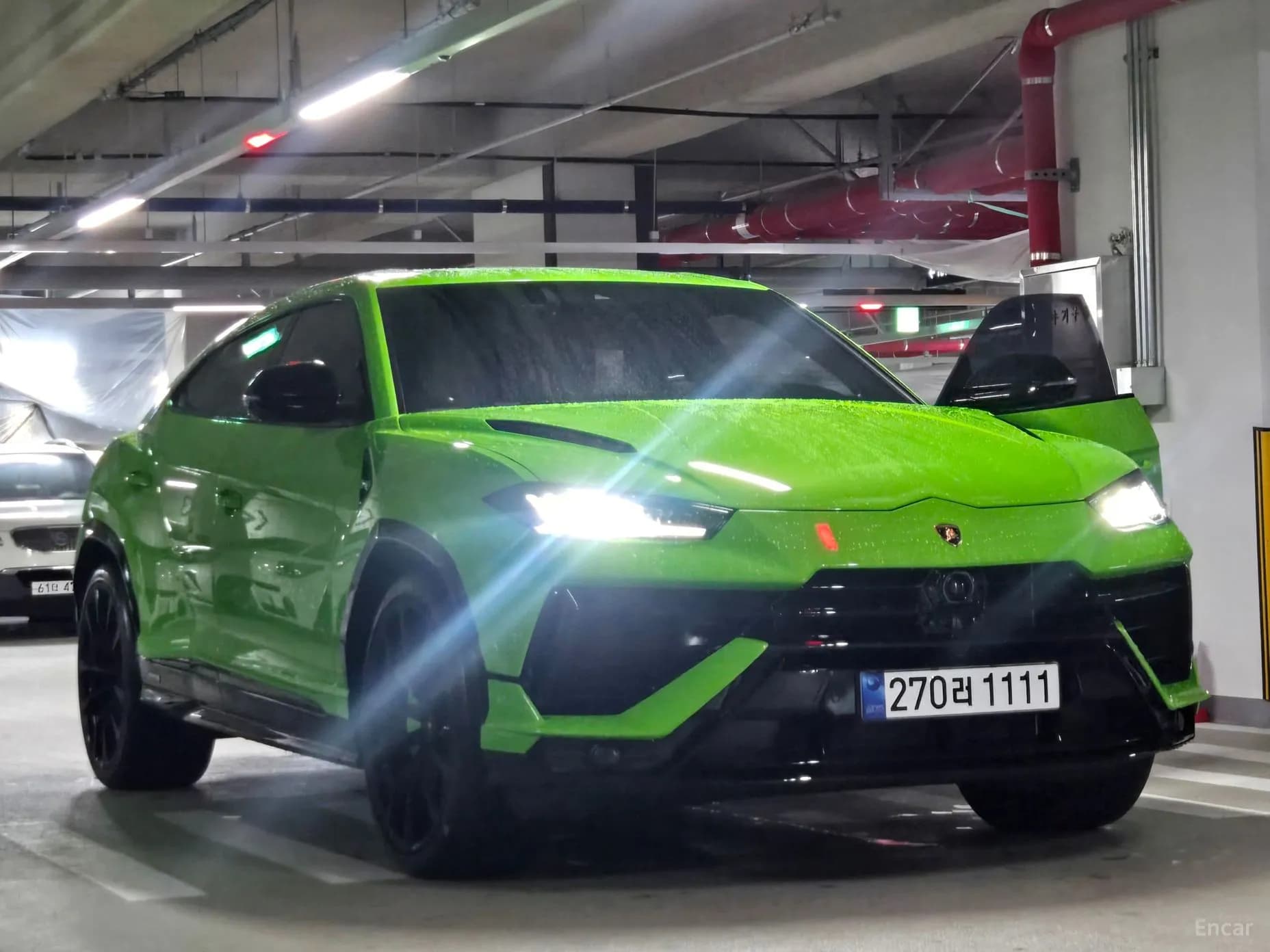 Urus