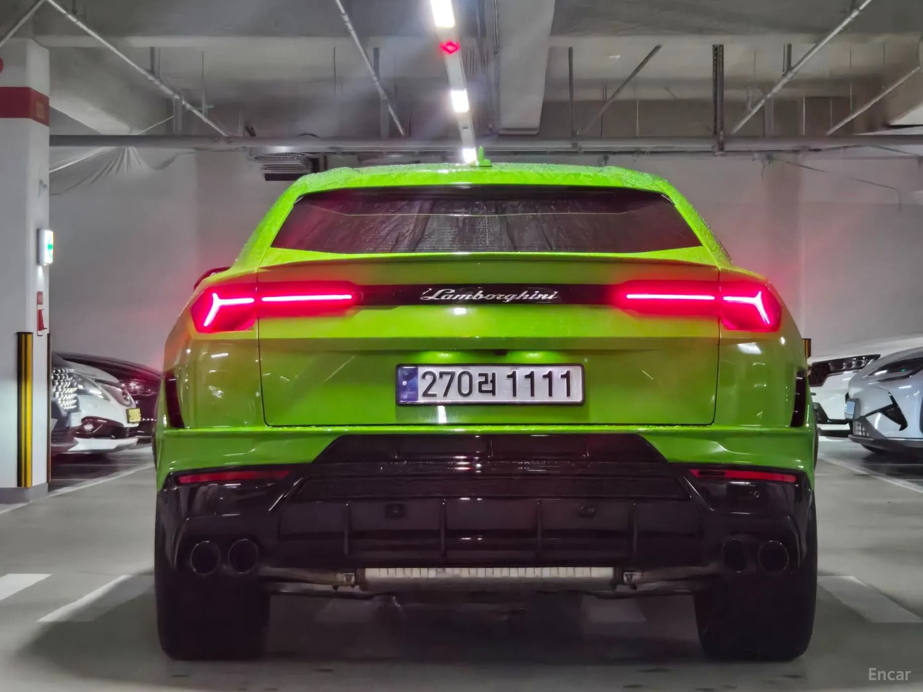 Urus