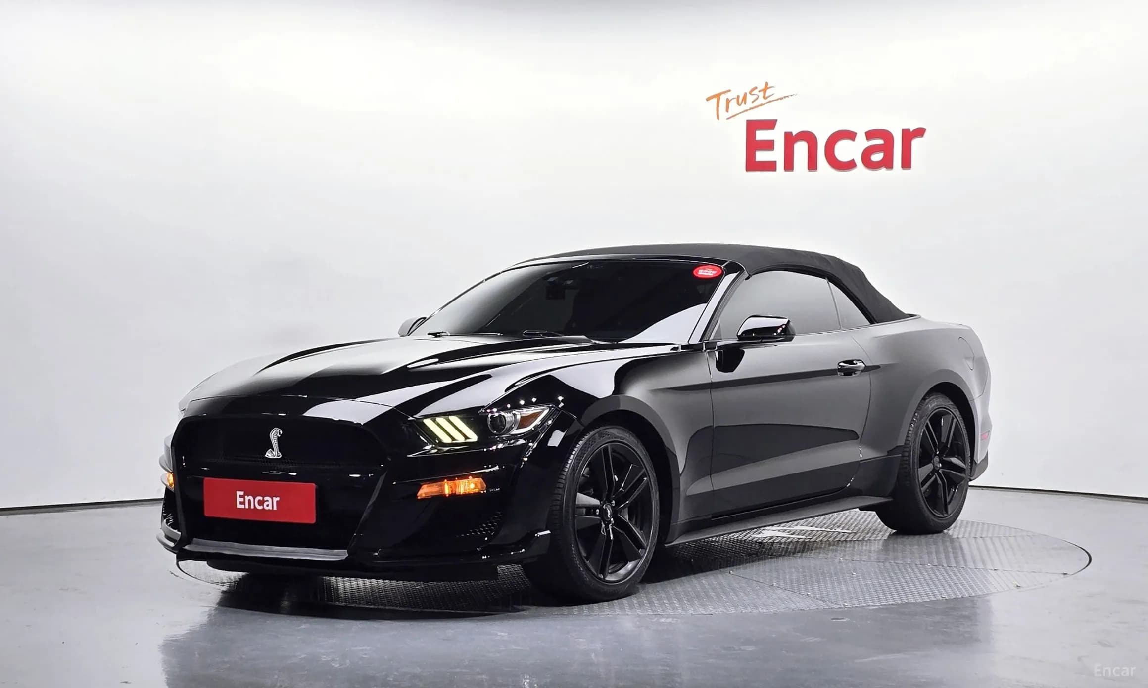 Mustang