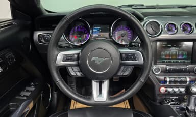 Mustang