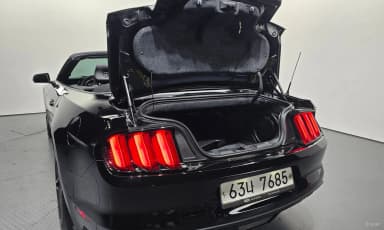 Mustang