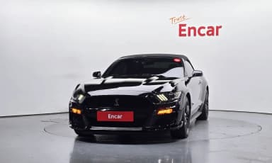 Mustang