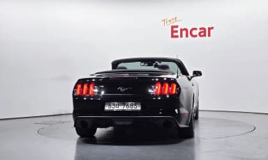 Mustang