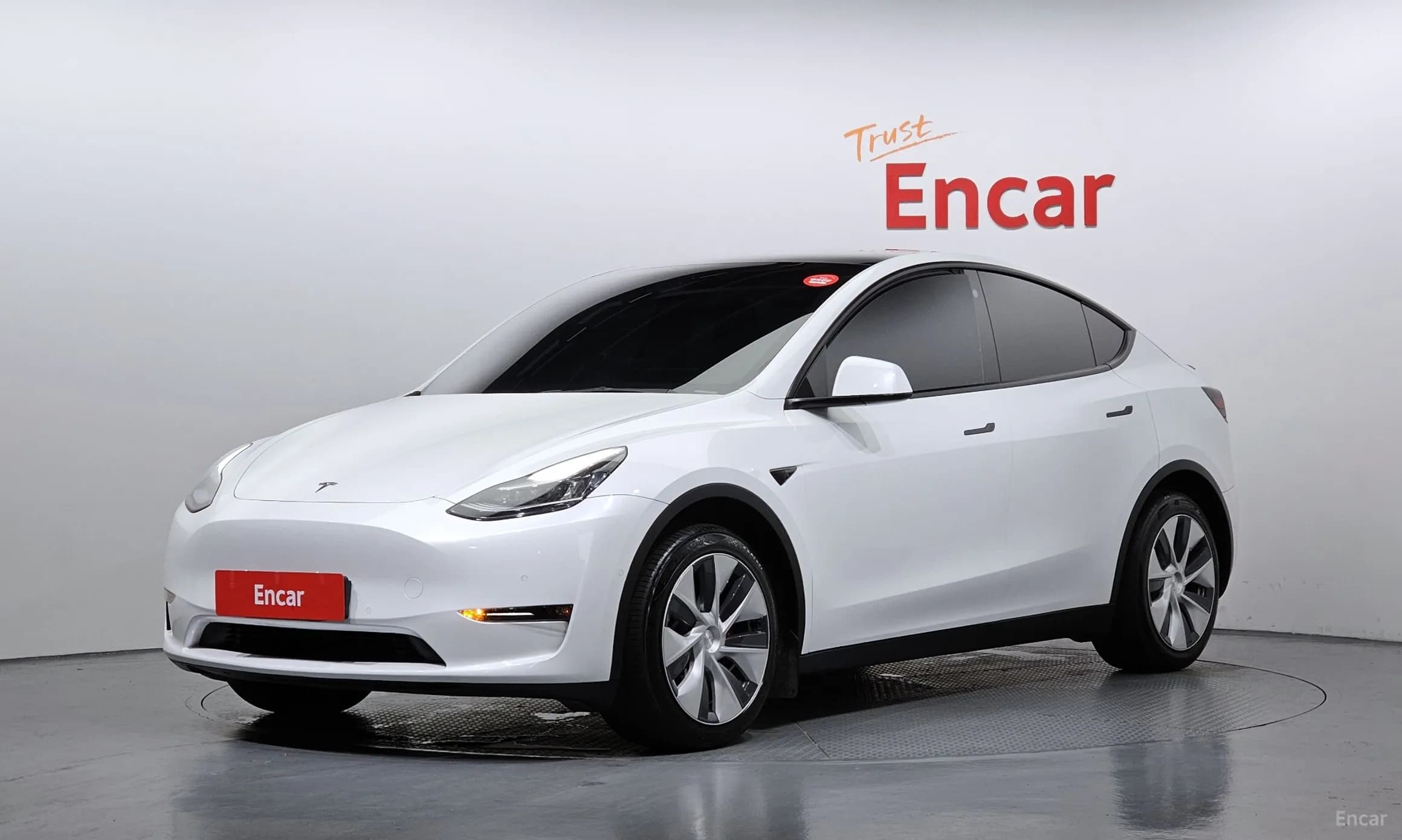 Model Y
