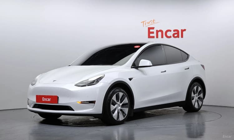 Model Y