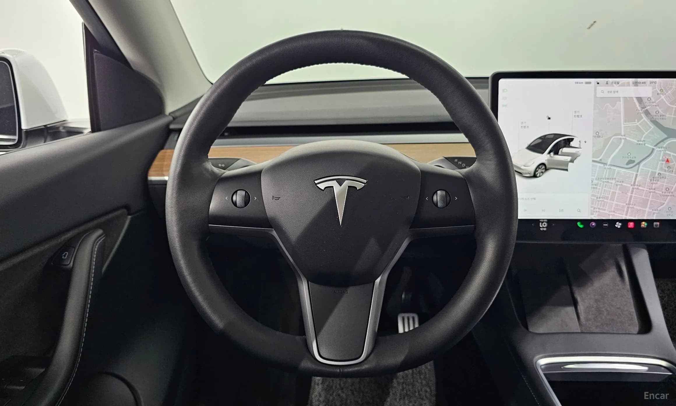 Model Y
