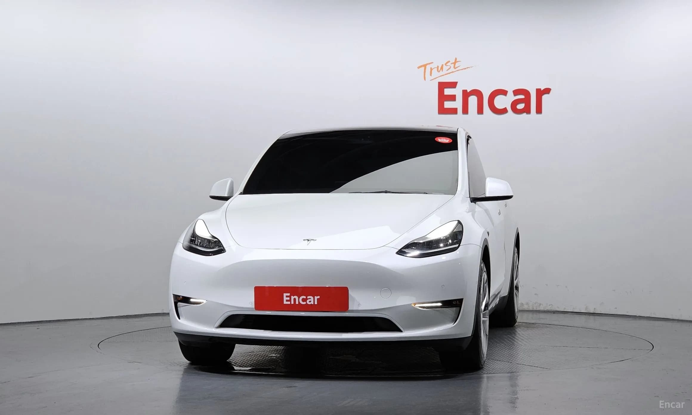 Model Y