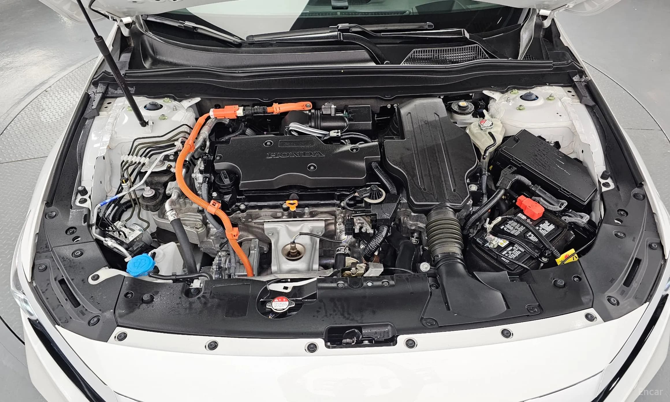 Accord 10th Generation