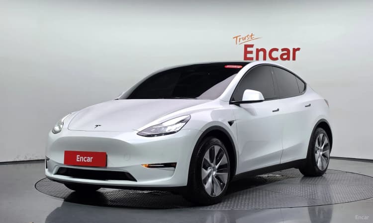 Model Y