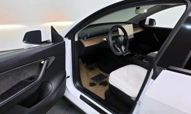 Model Y