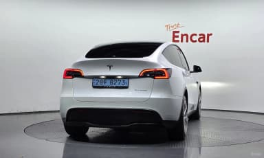 Model Y