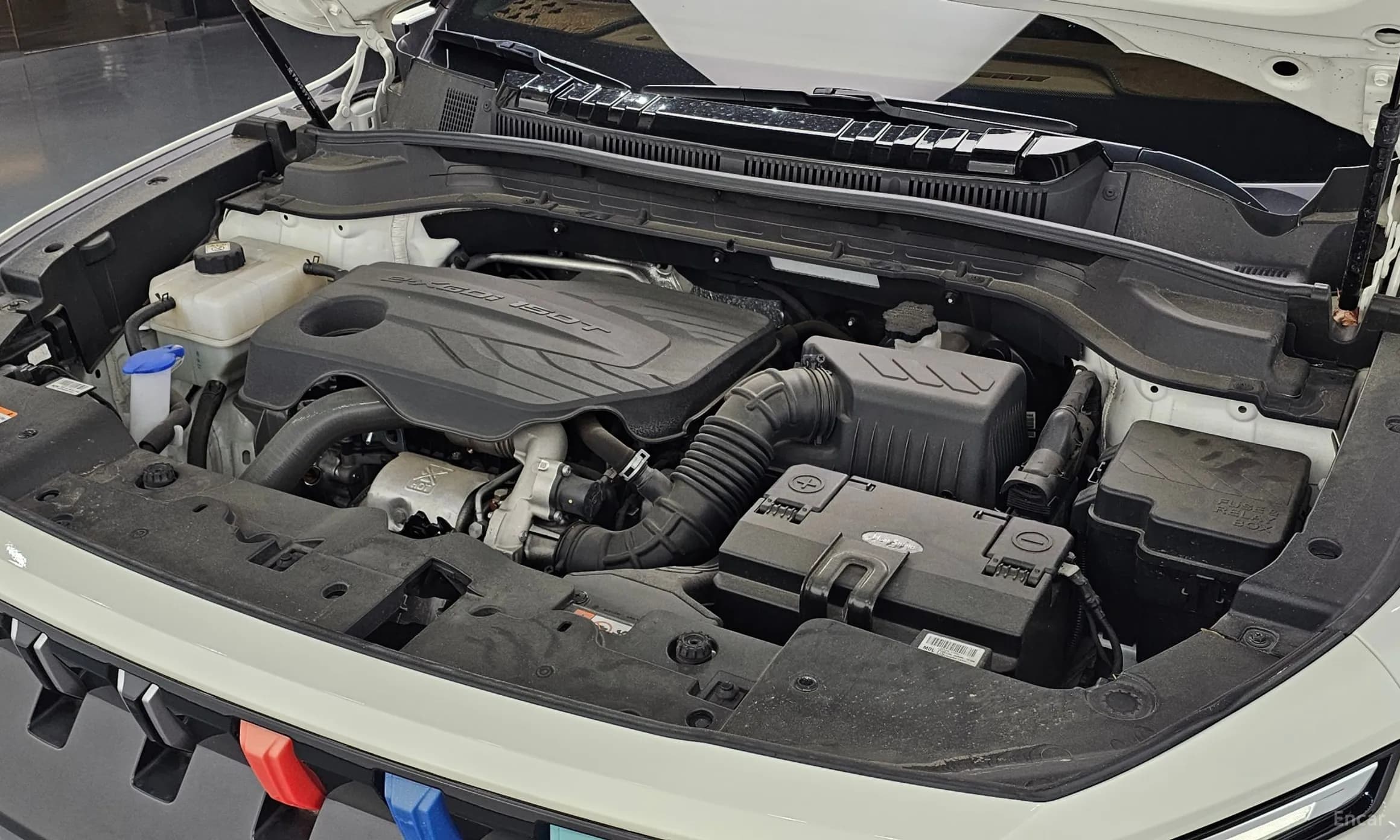 Torres