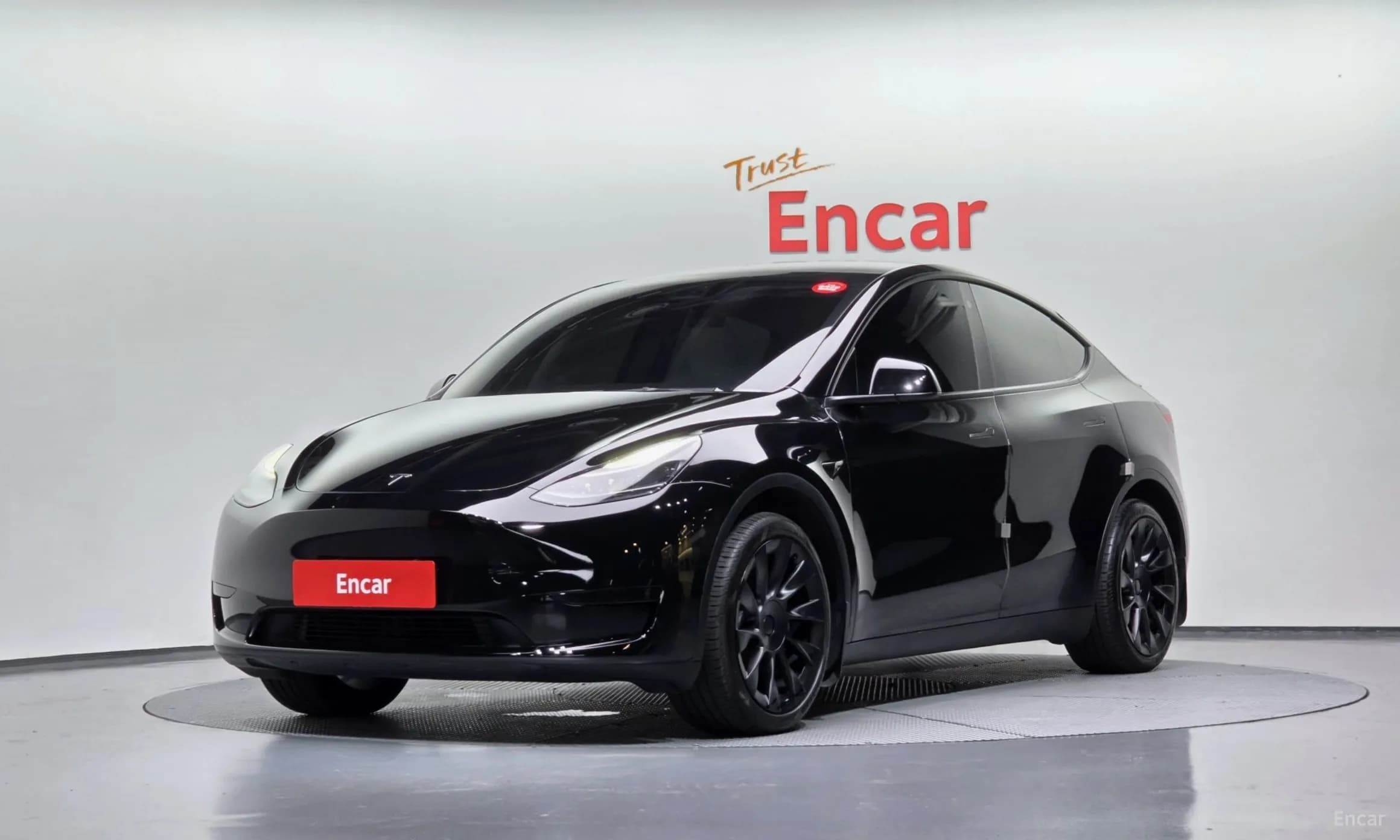 Model Y