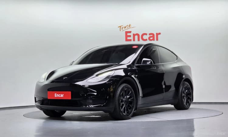 Model Y