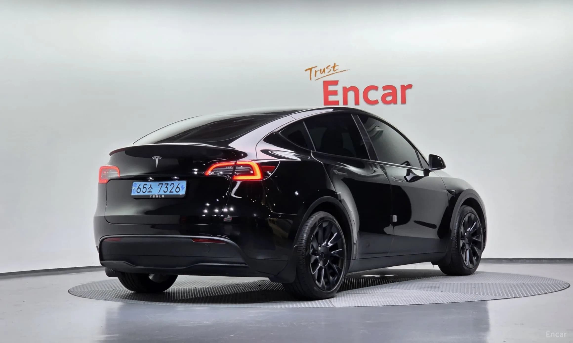 Model Y