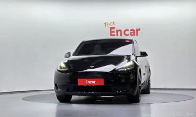 Model Y