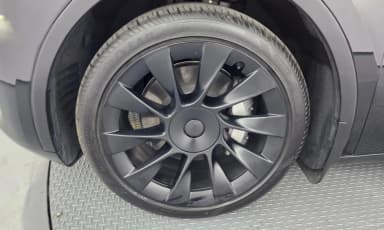 Model Y