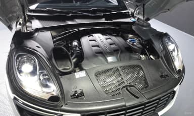 Macan