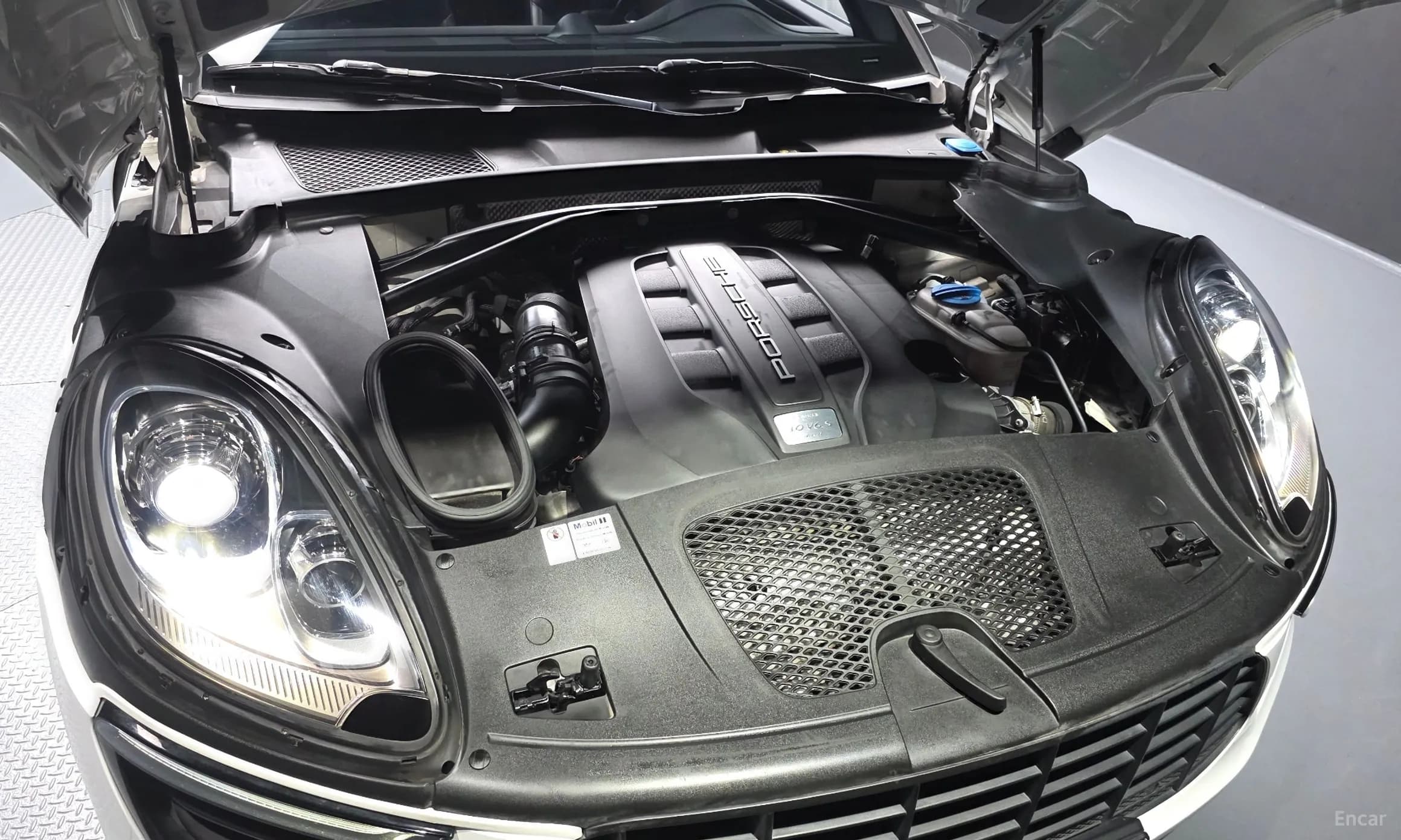 Macan