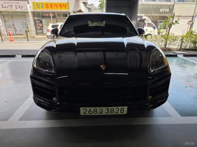 Cayenne (PO536)