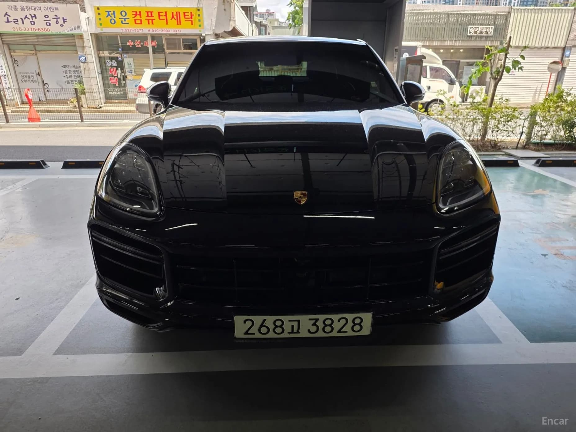 Cayenne (PO536)