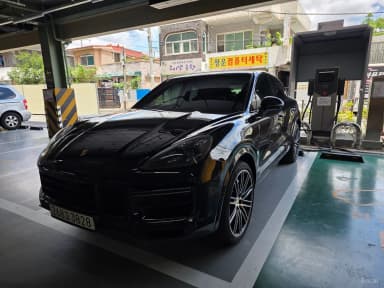 Cayenne (PO536)