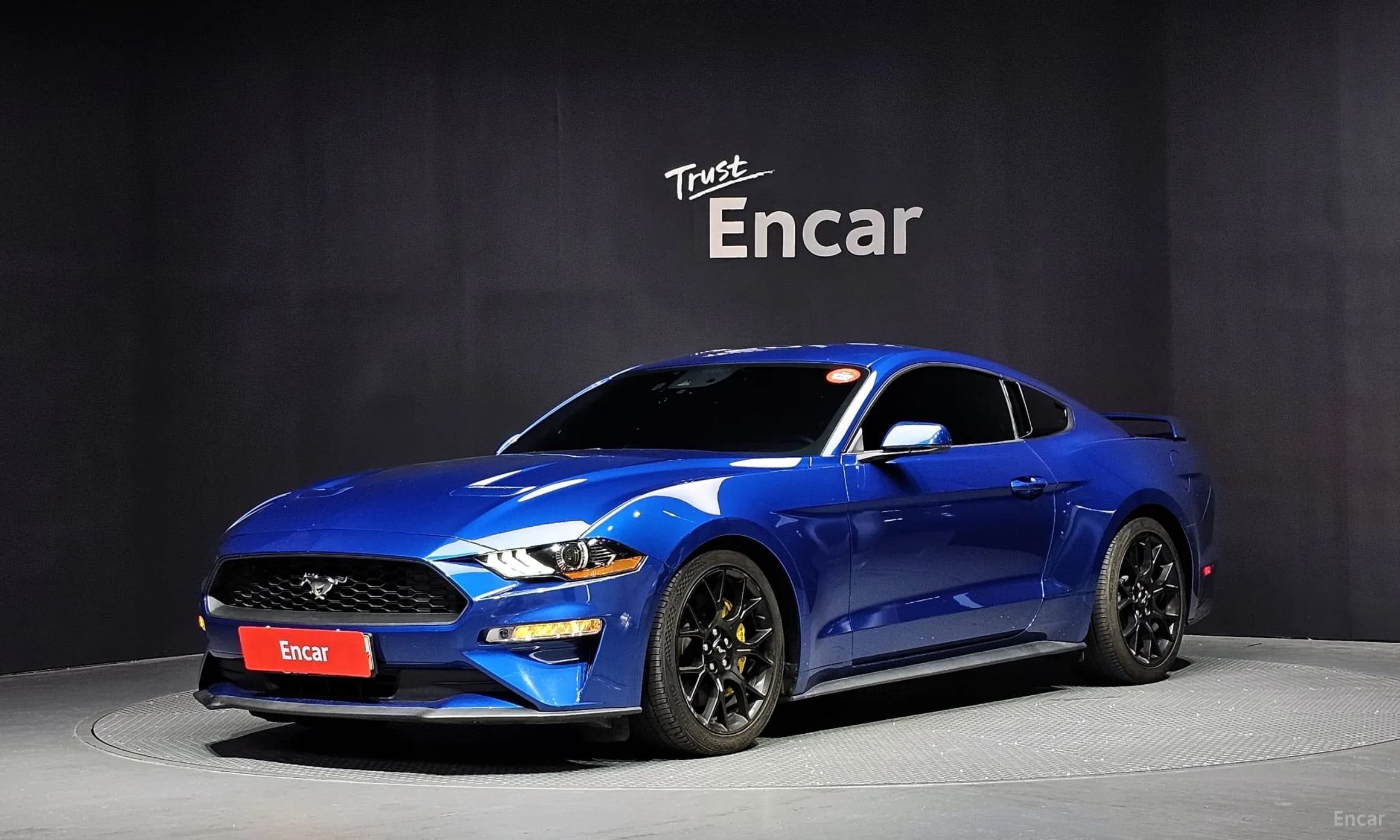 Mustang
