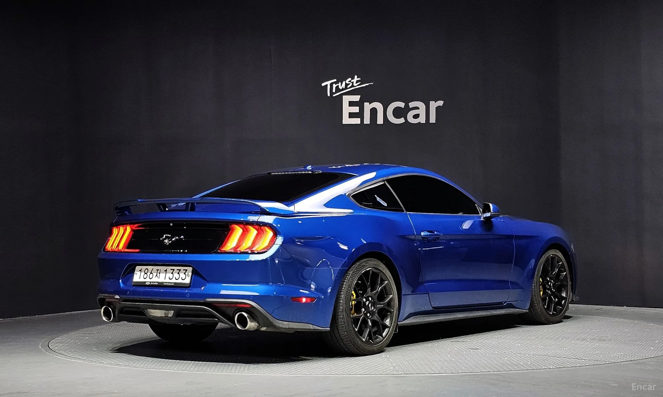 Mustang