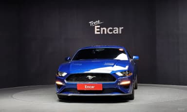 Mustang