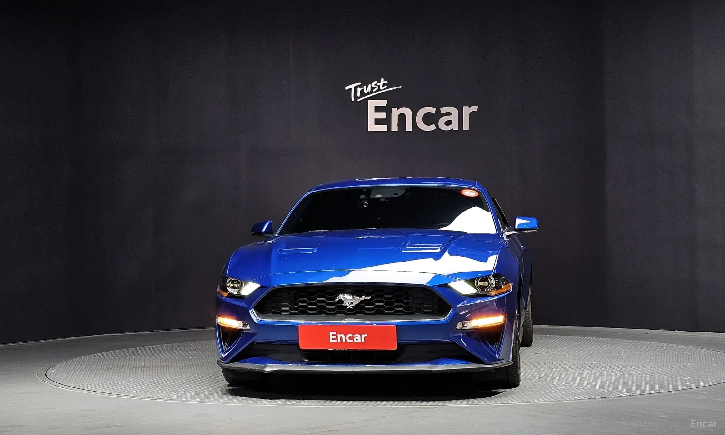 Mustang