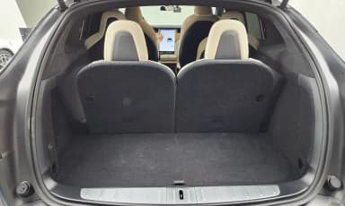 Model X