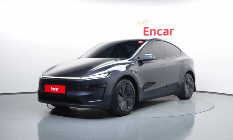 Model Y