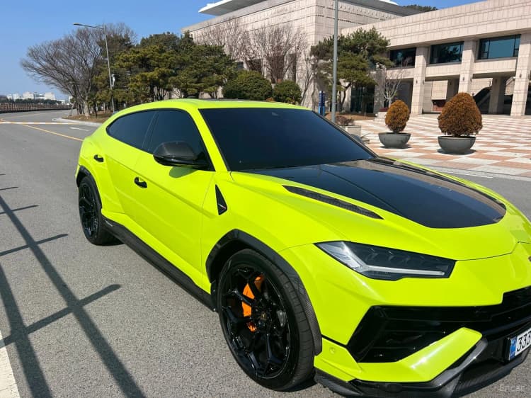 Urus