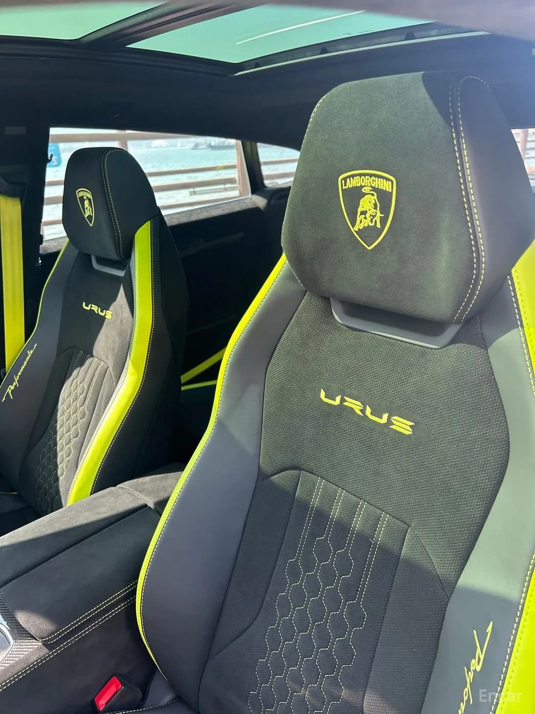 Urus