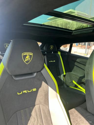 Urus