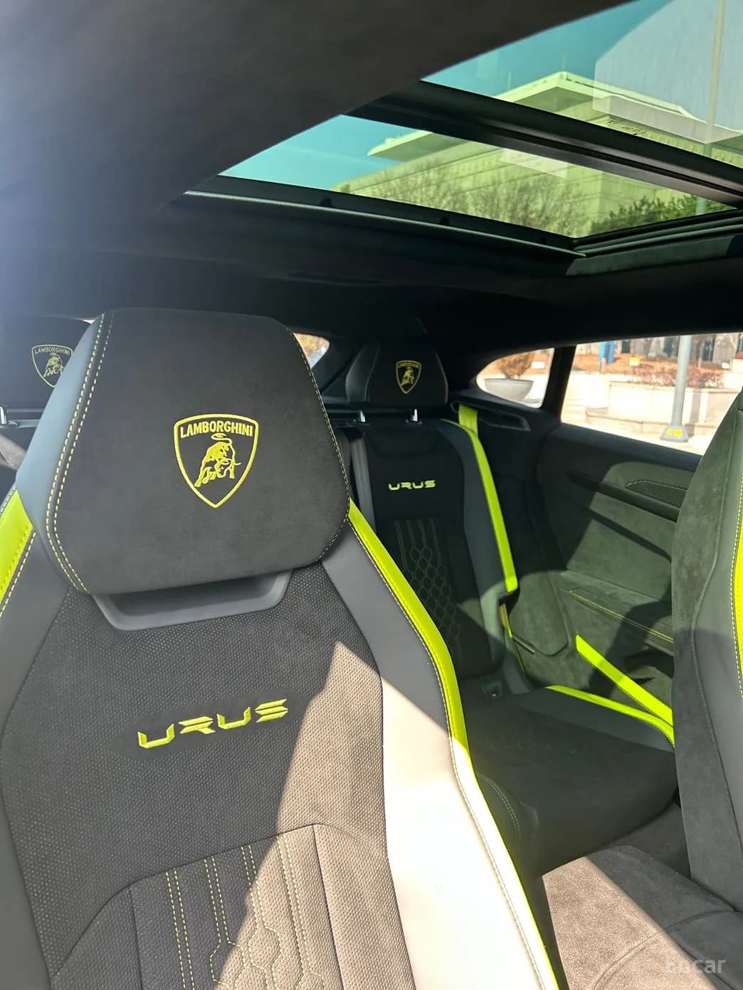 Urus