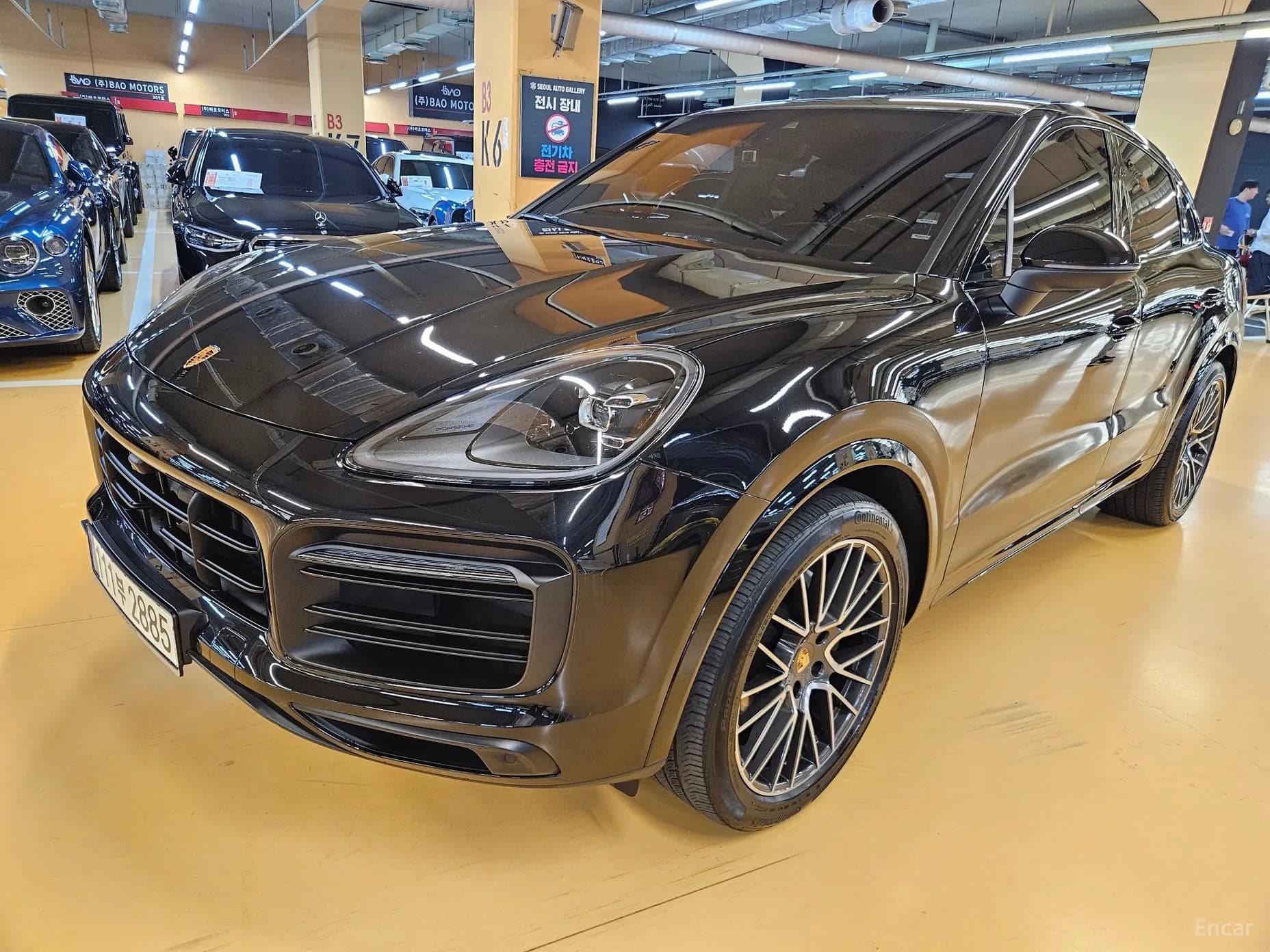 Cayenne (PO536)