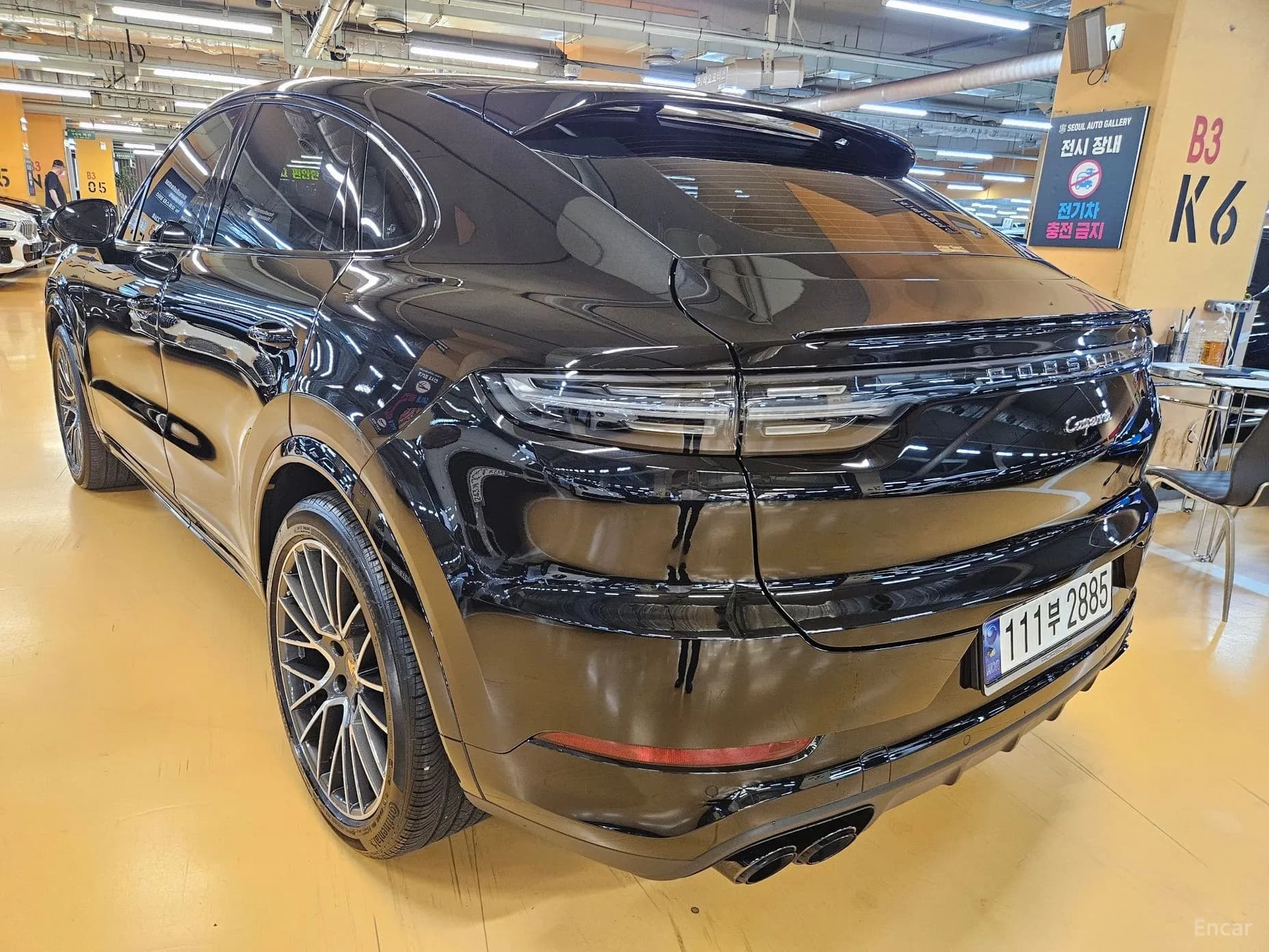 Cayenne (PO536)