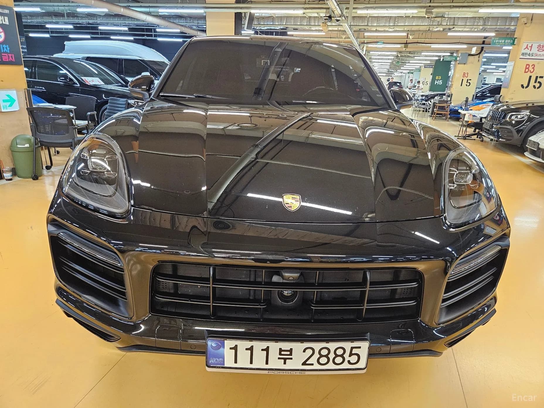 Cayenne (PO536)