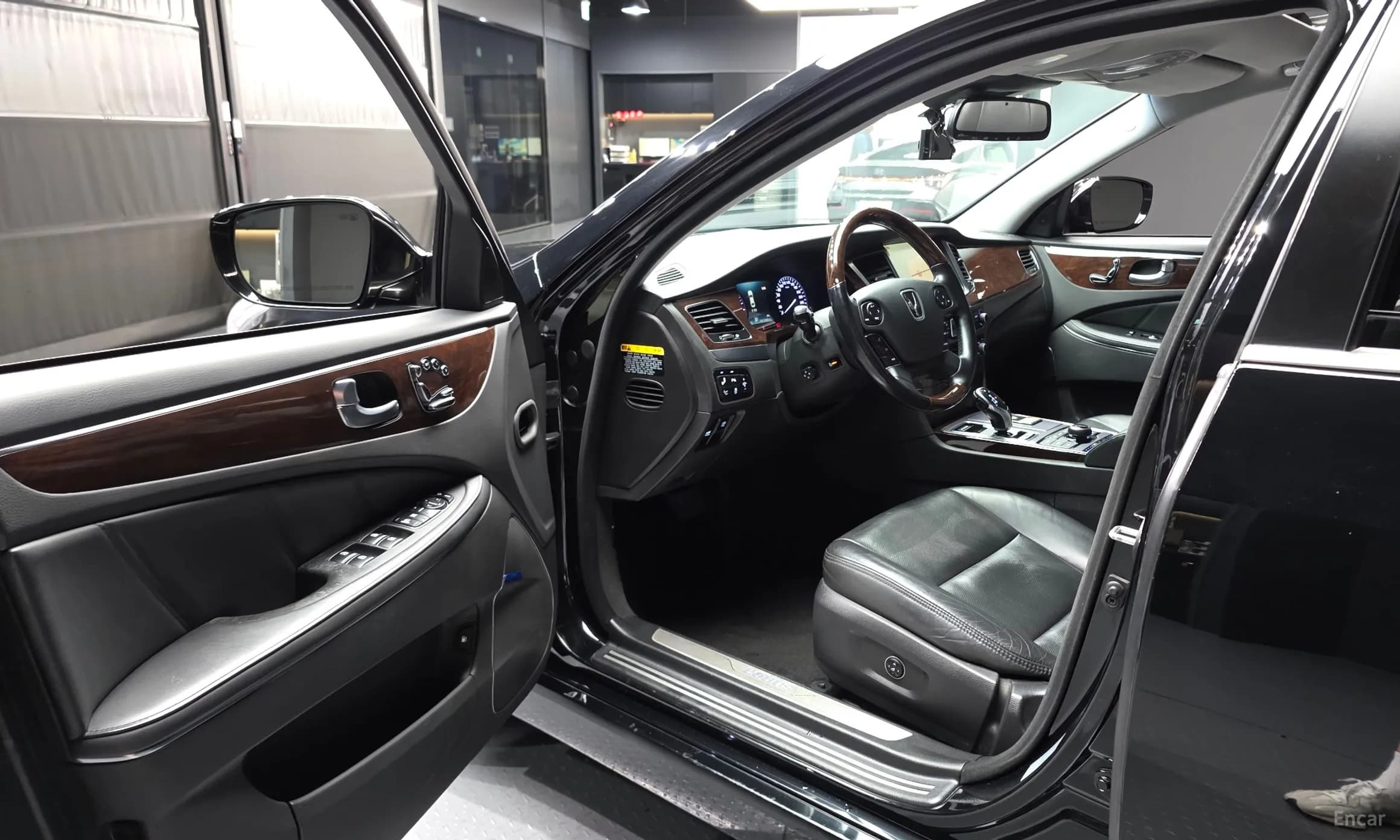 Equus (new)