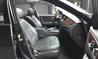 Equus (new)