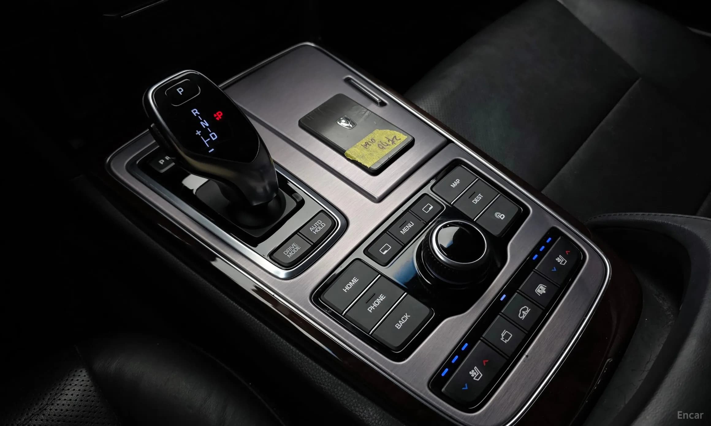 Equus (new)